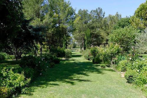 Le Domaine De Saint Veran Orgon Εξωτερικό φωτογραφία